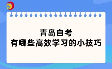 青岛自考有哪些高效学习的小技巧